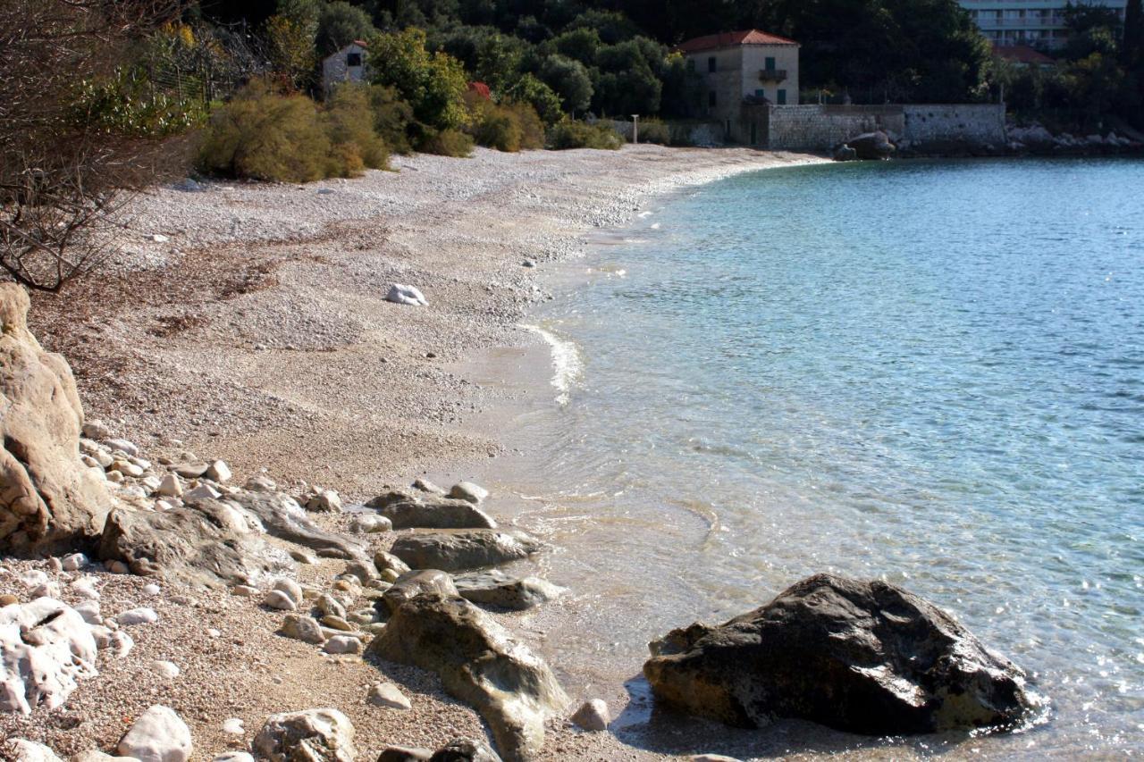 Apartments With A Parking Space Plat, Dubrovnik - 4776 Mlini Eksteriør bilde