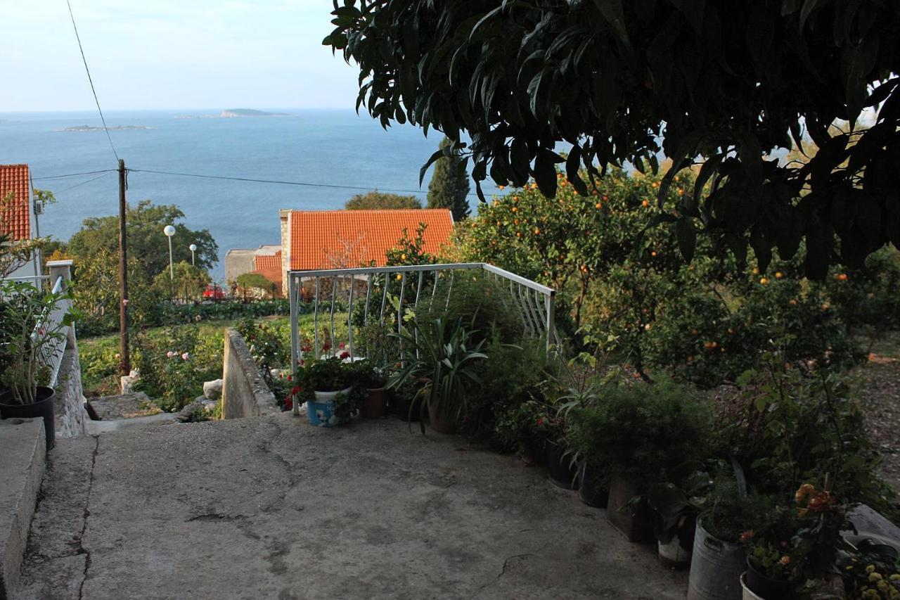 Apartments With A Parking Space Plat, Dubrovnik - 4776 Mlini Eksteriør bilde